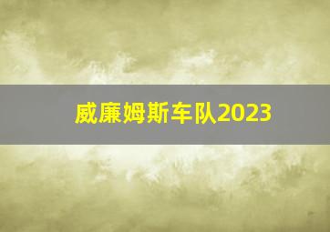 威廉姆斯车队2023