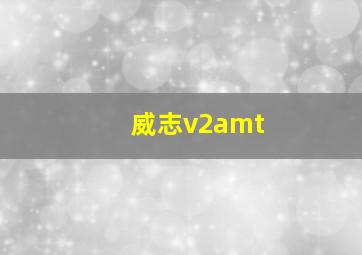 威志v2amt