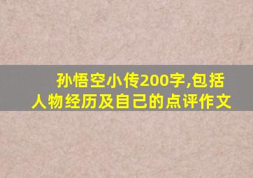 孙悟空小传200字,包括人物经历及自己的点评作文