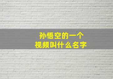 孙悟空的一个视频叫什么名字