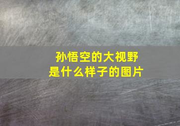 孙悟空的大视野是什么样子的图片