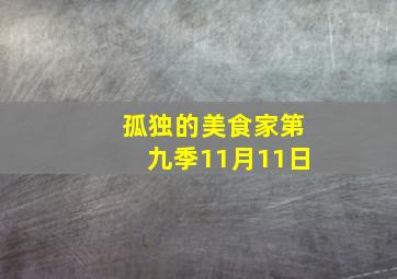 孤独的美食家第九季11月11日