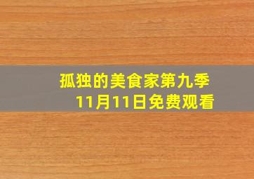 孤独的美食家第九季11月11日免费观看