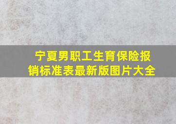 宁夏男职工生育保险报销标准表最新版图片大全