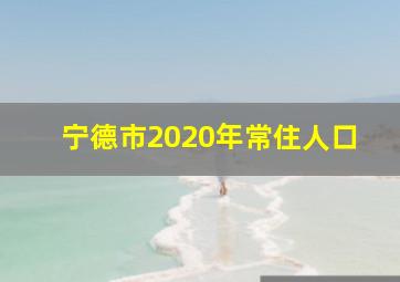 宁德市2020年常住人口