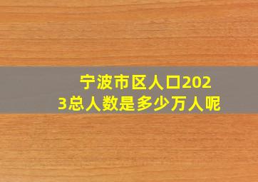 宁波市区人口2023总人数是多少万人呢