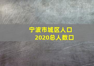 宁波市城区人口2020总人数口