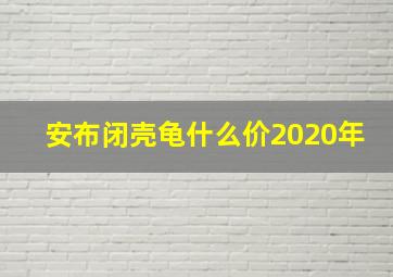 安布闭壳龟什么价2020年