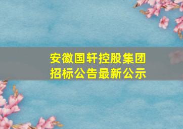 安徽国轩控股集团招标公告最新公示