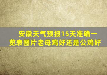 安徽天气预报15天准确一览表图片老母鸡好还是公鸡好