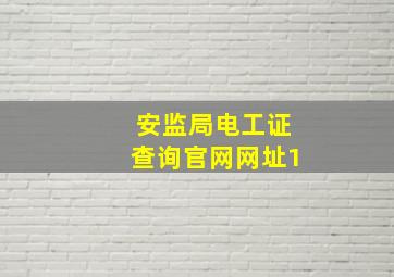 安监局电工证查询官网网址1