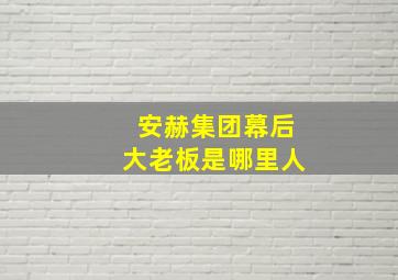 安赫集团幕后大老板是哪里人