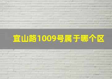 宜山路1009号属于哪个区