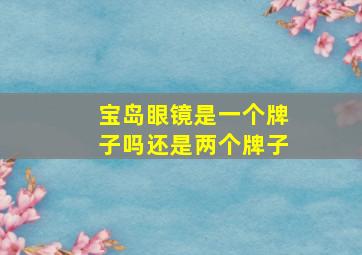 宝岛眼镜是一个牌子吗还是两个牌子