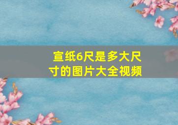 宣纸6尺是多大尺寸的图片大全视频