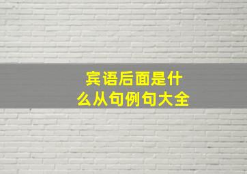 宾语后面是什么从句例句大全