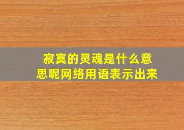 寂寞的灵魂是什么意思呢网络用语表示出来