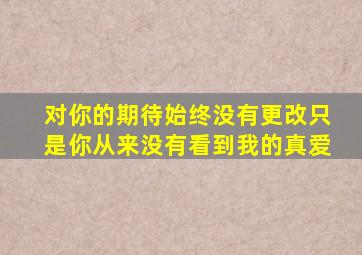 对你的期待始终没有更改只是你从来没有看到我的真爱