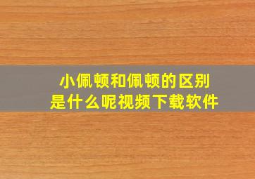 小佩顿和佩顿的区别是什么呢视频下载软件