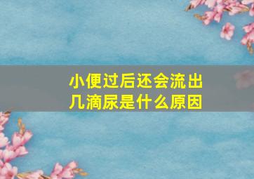 小便过后还会流出几滴尿是什么原因