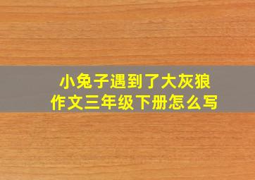 小兔子遇到了大灰狼作文三年级下册怎么写