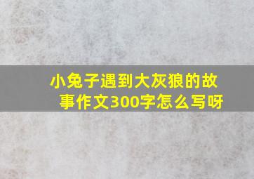 小兔子遇到大灰狼的故事作文300字怎么写呀