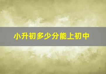 小升初多少分能上初中