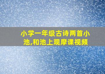 小学一年级古诗两首小池,和池上观摩课视频