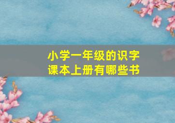 小学一年级的识字课本上册有哪些书