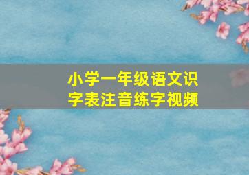 小学一年级语文识字表注音练字视频