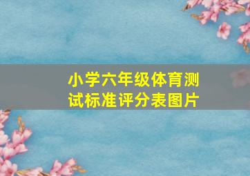 小学六年级体育测试标准评分表图片