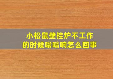 小松鼠壁挂炉不工作的时候嗡嗡响怎么回事