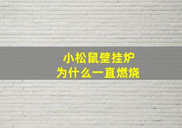 小松鼠壁挂炉为什么一直燃烧