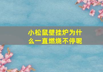 小松鼠壁挂炉为什么一直燃烧不停呢