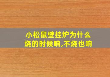 小松鼠壁挂炉为什么烧的时候响,不烧也响