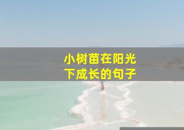 小树苗在阳光下成长的句子