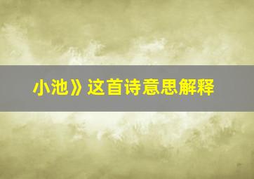 小池》这首诗意思解释