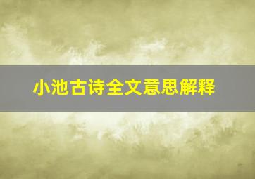 小池古诗全文意思解释