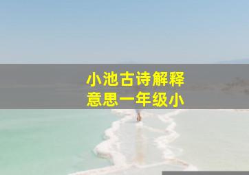 小池古诗解释意思一年级小