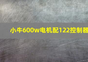 小牛600w电机配122控制器