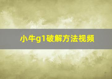 小牛g1破解方法视频