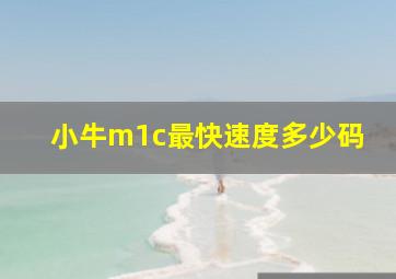 小牛m1c最快速度多少码