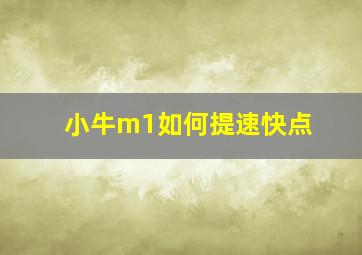 小牛m1如何提速快点