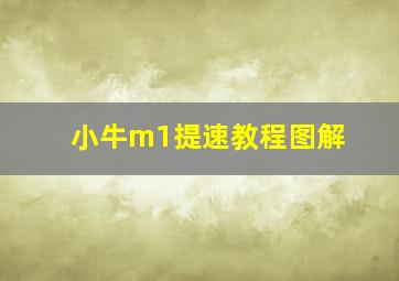 小牛m1提速教程图解