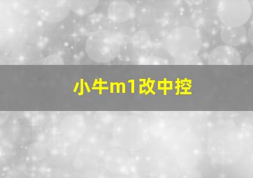 小牛m1改中控