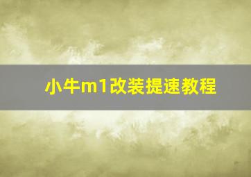 小牛m1改装提速教程