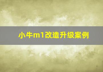 小牛m1改造升级案例