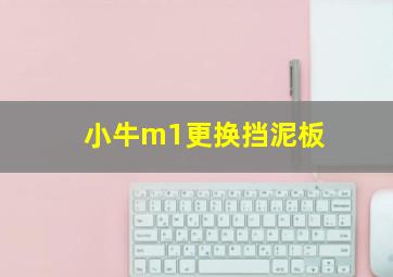 小牛m1更换挡泥板