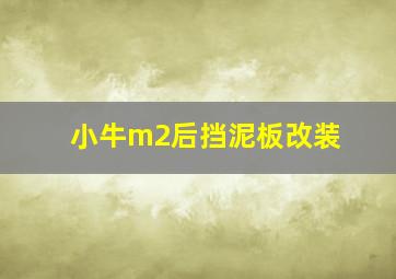 小牛m2后挡泥板改装