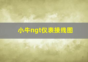 小牛ngt仪表接线图